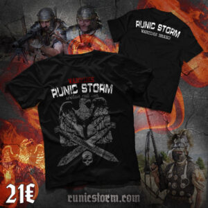 The «Runic Storm WTB» T-shirt