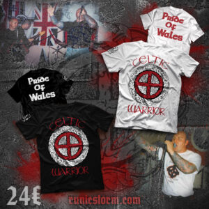 The «Celtic Warrior: Pride Of Wales» T-shirt